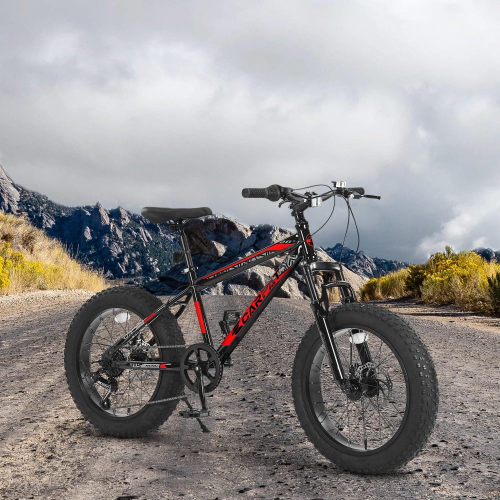 Bicicleta de montaña para niño - Carbon Bike Frame reseña y precio